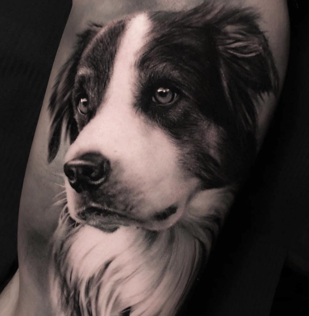 Comment tatouer des animaux réalistes : libérer le talent artistique sur une toile vivante