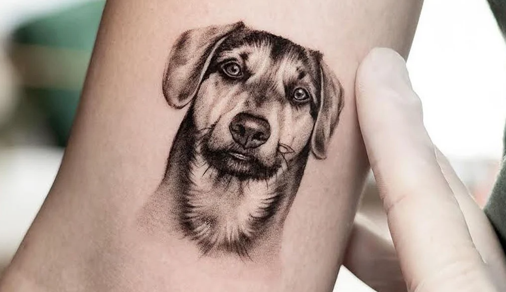 Comment faire des tatouages ​​d’animaux : un guide créatif pour les amoureux des animaux